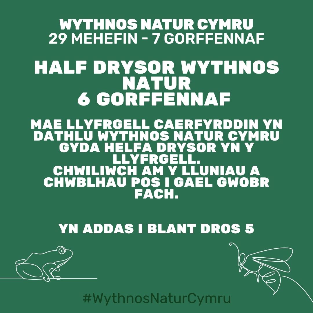 Half Drysor Wythnos Natur